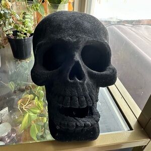 Velvet Skull Home Decor